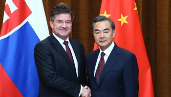 Chinese FM holds talks with Slovak counterpart in Beijing