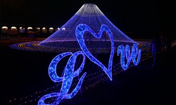 LED lights create dreamy world in Zhangjiakou, N China's Hebei Province