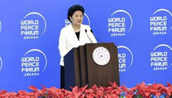 Chinese vice premier attends 5th world peace forum