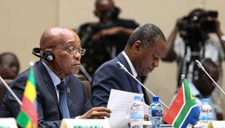 Spotlight: Africa anticipates G20 resolutions on Africa's industrialization