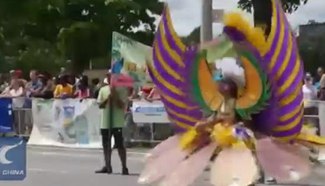 Colorful junior parade at 2016 Toronto Caribbean Carnival