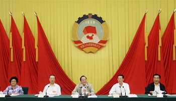 Advisors discuss industrial upgrading in NE China