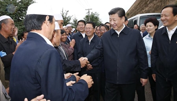 Xi urges inclusive development on Ningxia tour