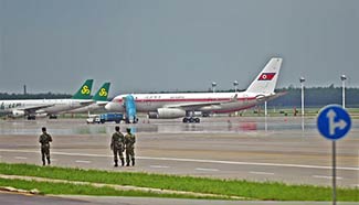 DPRK plane makes forced landing in northeast China city