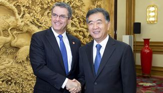 Chinese vice premier meets WTO director general