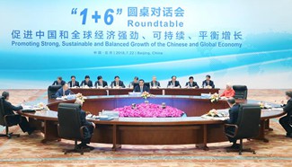 Premier Li holds meeting with chiefs of int'l financial institutions