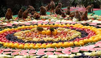 Fruit banquet for "Monkey King"