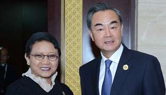 Chinese FM meets his Indonesian counterpart in Vientiane