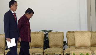 Indonesian president announces second cabinet reshuffle to tackle economic issues