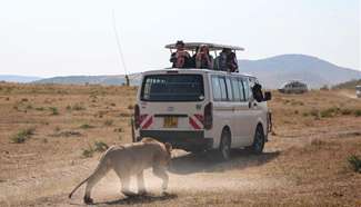 Kenya has solid measures to prevent wildlife attack on humans