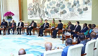 Chinese vice president meets African delegations in Beijing