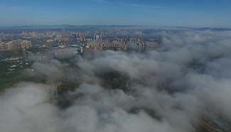 Qinzhou City enveloped by fog in south China