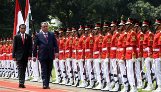 Indonesian, Tajik presidents inspect honor guard in Jakarta