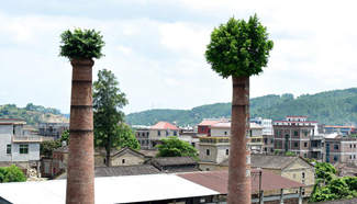 Banyan trees grow on top of deserted chimneys, SE China