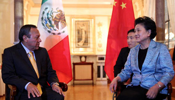 Chinese vice premier pledges support for inter-parliamentary cooperation with Mexico