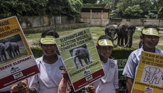 World Elephant Day marked in India