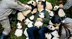 Photographer spends three years capturing images of pandas