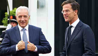 Dutch PM meets German president of federal council in The Hague