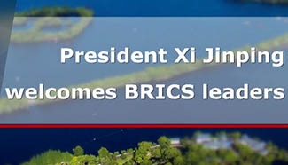 Video: President Xi Jinping welcomes BRICS leaders