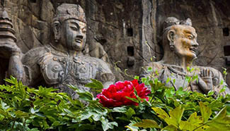 In pics: statues of Longmen Grottoes in C China