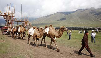 Chinese camel caravan attends 2nd World Nomad Games in Kyrgyzstan
