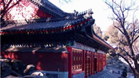 17 out of the 28 scenic spots in Jingyi Garden get recovered