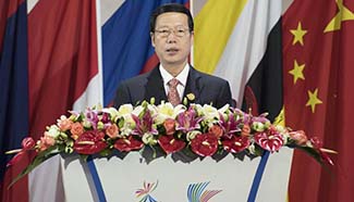 China-ASEAN relations are fruitful: vice premier