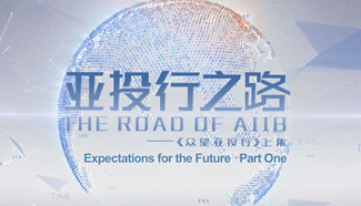 The Road of AIIB: Expectations for the Future (Part One)