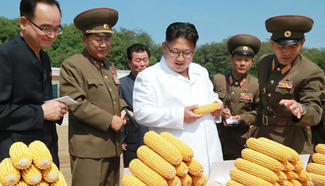 Top leader of DPRK gives field guidance to Farm No. 1116 under KPA Unit 810