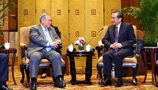 Chinese FM meets Brunei's senior officials in Beijing
