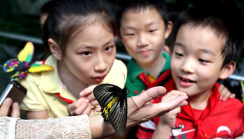 Butterfly exhibition held at Shanghai Zoo