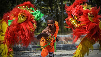 Trainees from Zimbabwe, Nigeria Chinese lion dance in NE China