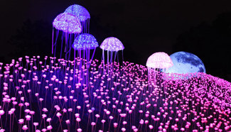 Lighting show of 30,000 LED roses open to public, SE China
