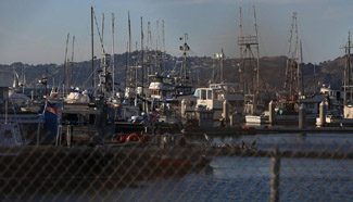 Boat capzises in San Francisco, all passengers accounted for