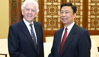 Chinese vice president meets member of British House of Lords