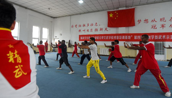 African trainees practise Chinese kung fu in Tianjin