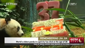 World's eldest panda in captivity died at the age of 38