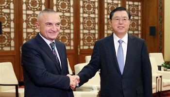 China, Albania vow to strengthen parliamentary links