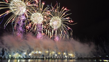 2nd China Int'l Fireworks Expo opens in Wanzai