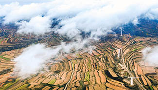 Scenery of terraced fields in N China