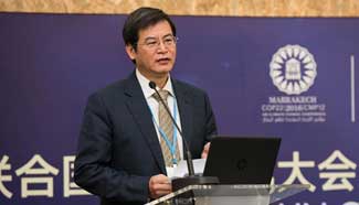 China's forestry success highlighted in climate change conference