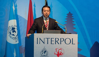 China's vice minister for Public Security elected as Interpol president