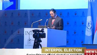 Senior Chinese official Meng Hongwei elected as President of Interpol