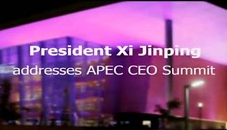 Live: President Xi Jinping addresses APEC CEO Summit