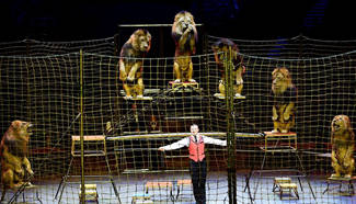 3rd China Int'l Circus Festial opens in south China