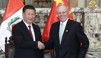 China, Peru agree to promote better, faster growth of ties