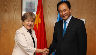 Xinhua president meets executive secretary of UN ECLAC in Santiago