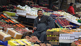 Feature: Markets fluctuate in Egypt amid economic recession