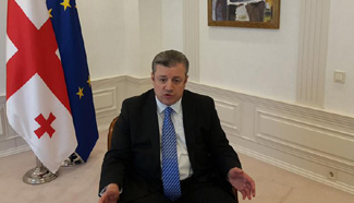 Georgian president appoints Kvirikashvili as PM