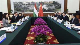 China-Hungary working group meets for the first time